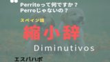 スペイン語の規則動詞のルールは全部で３つ 練習問題付き エスパハポ
