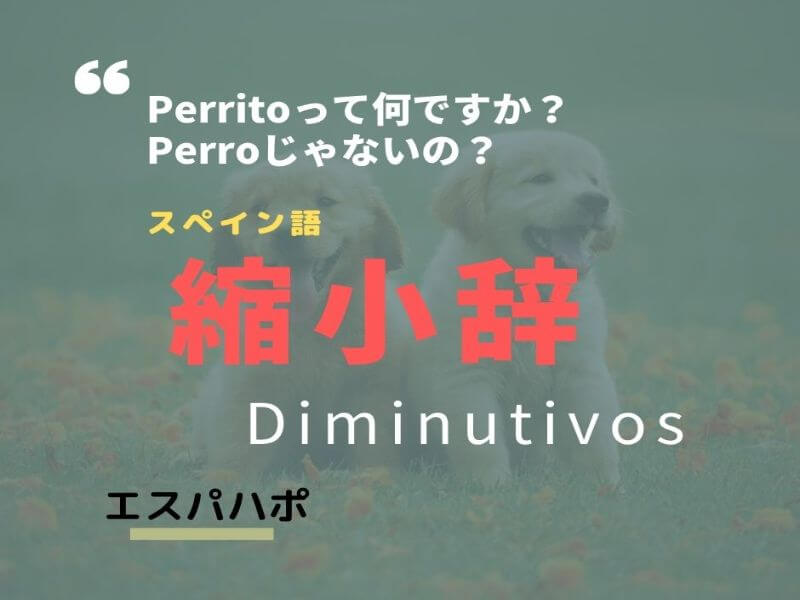 スペイン語の 小さな 可愛い を表す縮小辞diminutivos エスパハポ